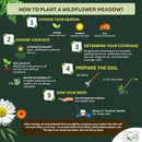 Mini Wildflower Seed Shaker - Bird & Butterfly Garden Seed Mix | 60,000+ Annual & Perennial Flower Seeds for Planting - Attracts Hummingbirds & Butterfly | No Messy Bags or Packets by GreenHaven Gardens