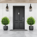 26.5" Artificial Cedar Topiary Ball Trees, Set of 2 UV Resistant Fake Evergreen Trees Shrubs Bushes Artificial Plants with Ground Spike Faux Cypress Plants for Indoor Outdoor Front Porch Garden by GreenHaven Gardens