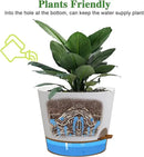 Self Watering Pots for Indoor Plants,12 inch Planters with Drainage Holes Plastic Flower Pots with Deep Reservoir, White with Brown by CozyNest Decor