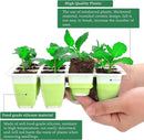 Seed Starter Tray, Reusable Seed Starter Kit, Silicone Seedling Starter Trays for Starting Plant Seeds, Seed Starting Trays with Flexible pop-Out Cells, Indoor Plant Germination Trays (2pcs) by GreenHaven Gardens