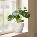Ceramic Planter 8 Inch Plant Pot with Drainage Hole and Saucer Ceramic Pots for Indoor Plants Outdoor Large Flower Pot for Home Decor White by CozyNest Decor
