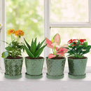 EFISPSS Flower Planter –5 inch Ceramic Plant Pots with Drainage Hole and Ceramic Tray - Gardening Home Desktop Office Windowsill Decoration Gift Set of 4 - Plants NOT Included by GreenHaven Gardens