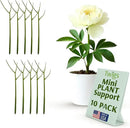 Twigs - Plant Support Stakes for Indoor, Outdoor & Climbing Plants, Gardening Supplies, Garden Accessories, Trellis & Ring Alternative, Made in USA - Peony (Light Green), 10 Pack, 12" L, Mini Twigs by GreenHaven Gardens