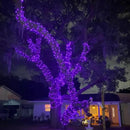 QITONG 4 Pack Purple Solar Fairy Lights, Each 33ft 100 LED Solar Christmas Lights, 8 Modes Solar Twinkle String Lights by GreenHaven Gardens