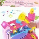 Toddler Musical Toys for 1+ Years Old Girls,Fine Motor Skills Developmental Baby Toy 12-18-24+ Months,Bilingual Toddler Learning Ball Drop Toy,Infant Birthday Gifts Toys for 1 2 Year Old Girl(Pink) by TinyTreasures Baby Boutique