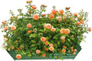 4x4x1ft Metal Raised Garden Bed Kit，Galvanized Garden Bed Box for Vegetables, Flowers, Herbs, and Succulents,120 Gallon Capacity - Green by GreenHaven Gardens