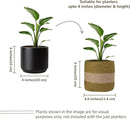 Jute Planter Basket-Woven Jute Rope Covers for Decorating Indoor/Outdoor Succulents, Small Plant Pots-Set of 2-Multi-Purpose Storage Bins 4.5 Inches - Modern Style Décor - Olive & Natural by GreenHaven Gardens