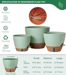 12/10/8 Inch Self Watering Pots for Indoor Plants Plastic Large Plant Pot for Outdoor Plants, Water Level Window & Spacious Reservoir Flower Pots Decorative Planter with Drainage and Tray (Green) by CozyNest Decor