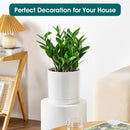 vancasso Ceramic Plant Pots, 8.25 Inch Ceramic Pot for Plants, Planters Pots for Indoor Plants with Drainage Holes, Flower Pot for Indoor House Plant, White by CozyNest Decor