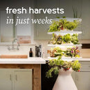 Farmstand Starter Kit with Glow Rings and 12 Seedling Credits | Tiny Hydroponic Growing System Kit | Vertical Garden Planter Tower | 3ft 8in Tall by GreenHaven Gardens