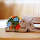 Outdoor Elephant Key Hider Statue - Cute Succulent Elephant Hide a Key Outdoor Decorative - Small Gift Box for Women, Home Decor & Elephant Gifts (Elephant) by GreenHaven Gardens