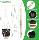 Hanging Planters for Indoor Outdoor Plants, 2 Pack Self Watering Hanging Pot with Drainage Holes, Removable Tray & 2 Kinds of Plant Hangers, 8'' Hanging Flower Pots for Home Garden Decor, Black by GreenHaven Gardens