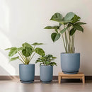 10 Inch Plant Pot - Ceramic Pot for Indoor Plants Outdoor Planter Large Flower Pot with Drainage Hole and Saucer Cylinder Gray by GreenHaven Gardens