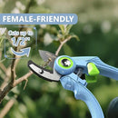 DELIXI Pruning Shears Anvil Garden Clippers, 1/2-Inch Cut Capacity Hand Pruners, Stainless Steel Blade with Non-Stick Coating, Ergonomic Small-Hand Design for Dry and Hard Branches by GreenHaven Gardens