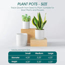 vancasso Ceramic Plant Pots, 3 Piece Planters for Indoor Plants, 4.25+5.25+6.25 Inch Flower Pots with Drainage, Plant Pots Indoor for Succulent, Pothos, Snake Plant and Money Tree, Etc (White) by GreenHaven Gardens
