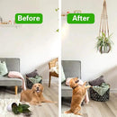 Augshy 2 Pcs Plant Hangers Hanging Plant Holder for Indoor Outdoor Decor Macrame Hanging Planter Basket with 4 Hooks(35 Inch) by GreenHaven Gardens