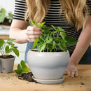 Planter Pot 6 Inch - Ceramic Plant Pot with Drainage Hole and Saucer, Round Glaze Succulent Pot for Plants, White by GreenHaven Gardens