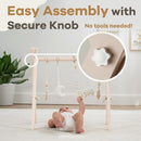 Comfy Cubs Wooden Baby Play Gym - Natural Finish Pinewood Baby Activity Gym with 5 Sensory Hanging Toys - Easy No-Tool Assembly, Safe and Durable for Infant Motor and Visual Development - Blush by TinyTreasures Baby Boutique