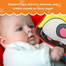 ToBe ReadyForLife Stimulating Baby Crinkle Books for 0-6 Months and 6-12 Months Infants - Toys Gift for 1 Year Old - Soft Cloth Animals Baby Books for Gifting by TinyTreasures Baby Boutique