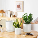 vancasso Ceramic Planters, Plant Pots for Indoor Plants, 6.25+8.25+10.25 Inch Ceramic Pots for Plants, Flower Pots with Drainage Holes, Planters Pot for Indoor House Plant, Set of 3, White by CozyNest Decor