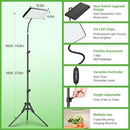 2024 LBW Grow Lights for Indoor Plants Full Spectrum with Stand,214 LEDs Standing Plant Lights for Indoor Growing,Floor Grow Plant Lamp with 4/8/12H Timer,6 Brightness Levels,75" Adjustable Tripod by GreenHaven Gardens