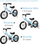 Balance Bike 2 in 1,The Dual Use of a Kids Balance Bike and Toddler Bike, for 2 3 4 5 6 7 Years Old -12 14 16 Inches with Training Theory, Brake, Pedal by TinyTreasures Baby Boutique