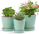 EFISPSS Ceramic Plant Pots –4”+5”+6” inch Set of 3, Planters with with Drainage Holes and Ceramic Tray, Indoor Flower Pot Gardening Home Desktop Office Windowsill Decoration Gift(Mint Green) by GreenHaven Gardens
