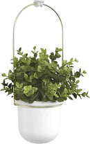 Umbra Triflora Hanging Planter for Window, Indoor Herb Garden, Set of 3, White/Brass by GreenHaven Gardens