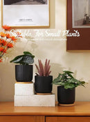 TAMAYKIM 4 Inch Small Cylinder Ceramic Plant Pots with Drainage Holes, Modern Indoor Planters with Tray for Aloe, Succulent, Snake Plants, Cactus & Herbs, Black, Set of 4 by GreenHaven Gardens