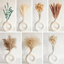 123 PCS Dried Flower Bouquet – Pampas Grass, Floral Decor for Home, Wedding, and Boho Style | Perfect for Vases, Fall, Spring, Summer, and Winter Arrangements by CozyNest Decor