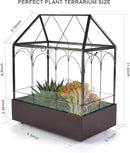 Large Tall Glass Plant Terrarium – House Succulent Terrarium Kit with Lip and Tray Glass Greenhouse Terrarium for Plant 9.5”X5.7”X11.4” by GreenHaven Gardens
