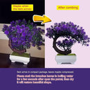 Small Artificial Plants Greenery Desktop Bonsai - Purple Plastic Fake Plants for Home Decor Indoor Bookshelf Office Desk Bathroom Room Decor, Tall 8.5" by GreenHaven Gardens