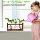 Plant Propagation Station Plant Terrarium Unique Birthday Gifts for Women Plant Lovers Home Office Decor Planter with Wooden Stand - 3 Bulb Glass Vase by GreenHaven Gardens