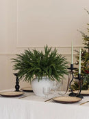 MISSPIN 30 Pcs 21.5 Inches Christmas Norfolk Pine Branches, Norfolk Pine Artificial Christmas Branches DIY Crafts Faux Pine Branches for Xmas Indoor Outdoor Home Decor by CozyNest Decor