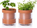 Phoenix Vine 4 Inch Self Watering Planter Pot, Terracotta Clay Pot with Glass Reservoir for Indoor Plants, Herbs, Flowers, Set of 2, 52-A-E-2 by GreenHaven Gardens