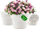 8 Inch Plastic-Flower Pot-for-Indoor Plants, 4 Pack Large Outdoor Planter Pot with Drainage Holes & Saucers, Resin Decorative Garden Pots Planters by CozyNest Decor