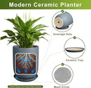 10 Inch Plant Pot - Ceramic Pot for Indoor Plants Outdoor Planter Large Flower Pot with Drainage Hole and Saucer Cylinder Gray by GreenHaven Gardens