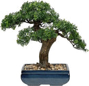 Artificial Bonsai Tree Juniper Faux Plants Indoor Fake Plants Decor with Blue Square Ceramic Pots for Home Table Office Desk Bathroom Shelf Bedroom Living Room Farmhouse Decorations by GreenHaven Gardens
