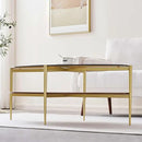 Oval Glass Coffee Table, Mid-Century Modern Design, L43 x W22 x H17 inch, 2-Tier Structure, Olive Shaped Amber Glass Top and Walnut Finish Wood Shelf, Tapered Legs with Gold Finish Frame by CozyNest Decor