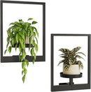 Bamworld Wall Planters for Indoor Plants Metal Wall Plant Holder Plant Hanger Wall Decor Wall-Mounted Wall Hanging Planters Outdoor Plant Rack Black 2 Pack (Patent Design) by GreenHaven Gardens