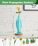 Nacome Fish Vase Glass Plant Terrarium with Wooden Stand,Planter Propagation Station for Home Office Hydroponics Desk Decoration,Unique Gardening Gifts for Plant Lovers Women Mom(Blue) by CozyNest Decor