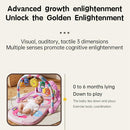 Alive Lovely Baby Gyms Play Mats, Musical Activity Center Baby Piano Gym Mat, Music and Lights Tummy Time Padded Mat for Newborn Newborn 0 to 3 6 9 12 Months by TinyTreasures Baby Boutique