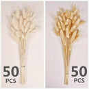 120 PCS Bunny Tails Dried Flowers, Dried Pampas Grass Bouquet, Boho Table Decor, White Pampas Grass Small, Dried Bunny Tails, Pampas Grass for Wedding, Home, Rustic Party, Baby Shower Decorations by CozyNest Decor