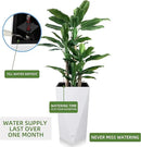 Dexceder 24 Inches Tall Self Watering Planter Diamond High Gloss Indoor Outdoor, Thickened Rhombus Large Floor Standing Flower Plant Pot with Water Level Indicator (White) by CozyNest Decor