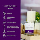 Lavender Fields Candle 7 oz – Best Smelling Soy Candle, Non Toxic, Long Lasting, Gift for Women, Natural Soy Wax, Home Decor & Spa Ambience, Aromatherapy, Relaxing Home Scent by CozyNest Decor