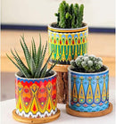 Mandala Succulent Pot with Drainage Hole & Bamboo Coaster, Small Plant Pots, Bohemian Ceramic Succulent Planter Pot for Small Plant-6 Pack by GreenHaven Gardens
