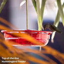 Hummingbird Feeders for Outdoors Hanging (2 Pack), 5 Feeding Ports 16 oz Plastic Hummingbird Feeder, Bee-Proof Leak-Proof No Drip, Easy to Clean with Cleaning Brushes by GreenHaven Gardens