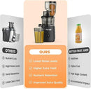 Slow Cold Press Juicer Machines: Masticating Cold Pressed Compact Juicer For Vegetable And Fruit Easy To Clean, Silver Grey by CozyNest Decor