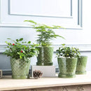 EFISPSS Flower Planter –5 inch Ceramic Plant Pots with Drainage Hole and Ceramic Tray - Gardening Home Desktop Office Windowsill Decoration Gift Set of 4 - Plants NOT Included by GreenHaven Gardens