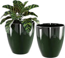 QCQHDU Plant Pots Set of 2 Pack,10 Inch Plant Pot for Indoor and Outdoor Plants with Drainage Hole,Flower Pots Modern Decorative Planter for Garden Plants (Green) by GreenHaven Gardens